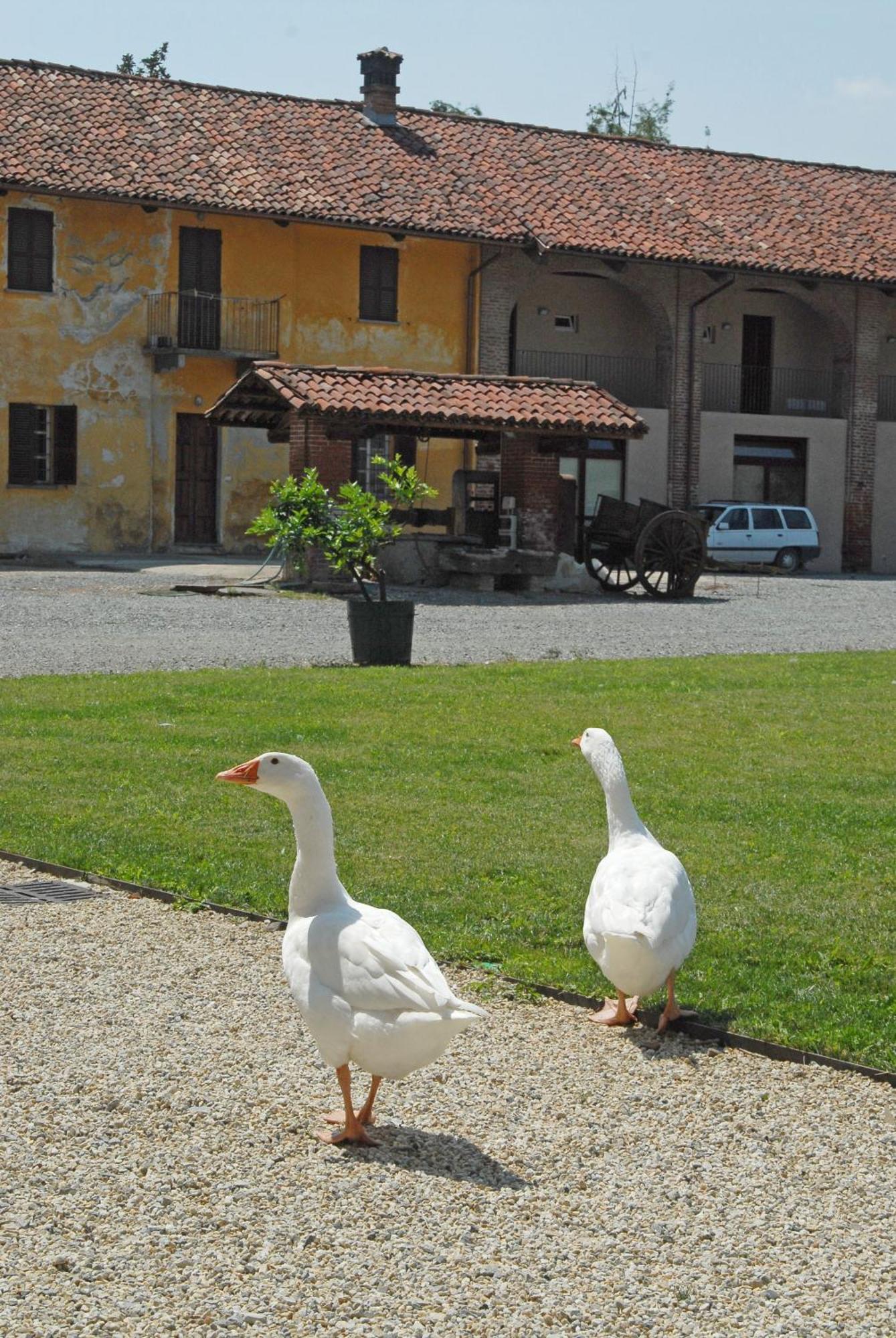 Hotel Antico Podere Propano Салуцо Екстериор снимка